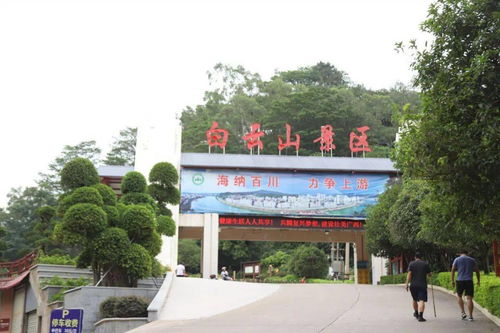 國慶旅游精品路線 梧州三日游，2條路線隨你選，看遍梧州的山和水 | 綠維文旅推薦