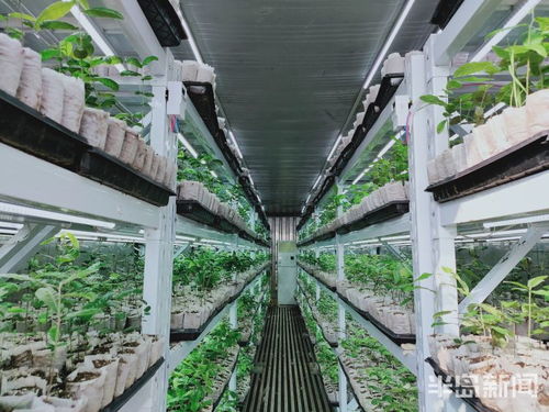 第一風(fēng)口 | 植樹造林用上物聯(lián)網(wǎng)技術(shù) 上市青企科技助力，綠色產(chǎn)業(yè)突圍正當(dāng)時(shí)